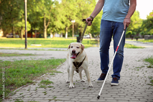 Blind mature man with guide dog in park