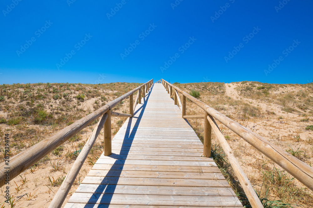 scenery of footbridge with wooden planks to the blue sky horizon in Natural Park of Trafalgar Cape, next to Canos Meca village (Barbate, Cadiz, Andalusia, Spain)