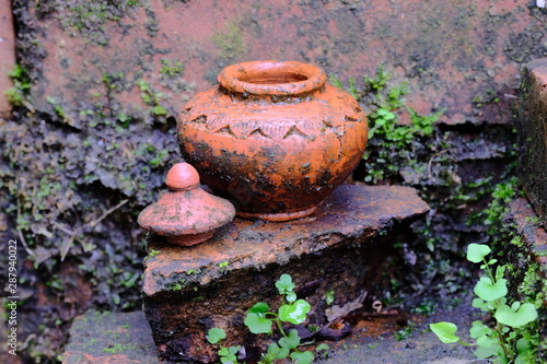 Wallpaper Mural Jar molded from the soil in humid places Torontodigital.ca