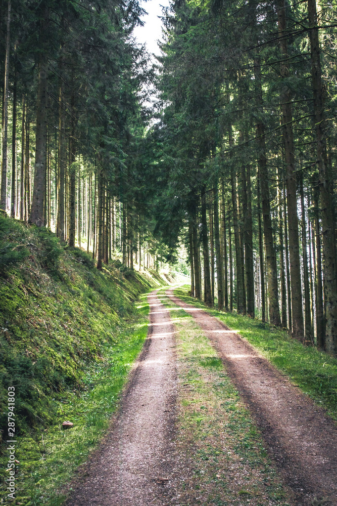 Naklejka premium Waldweg