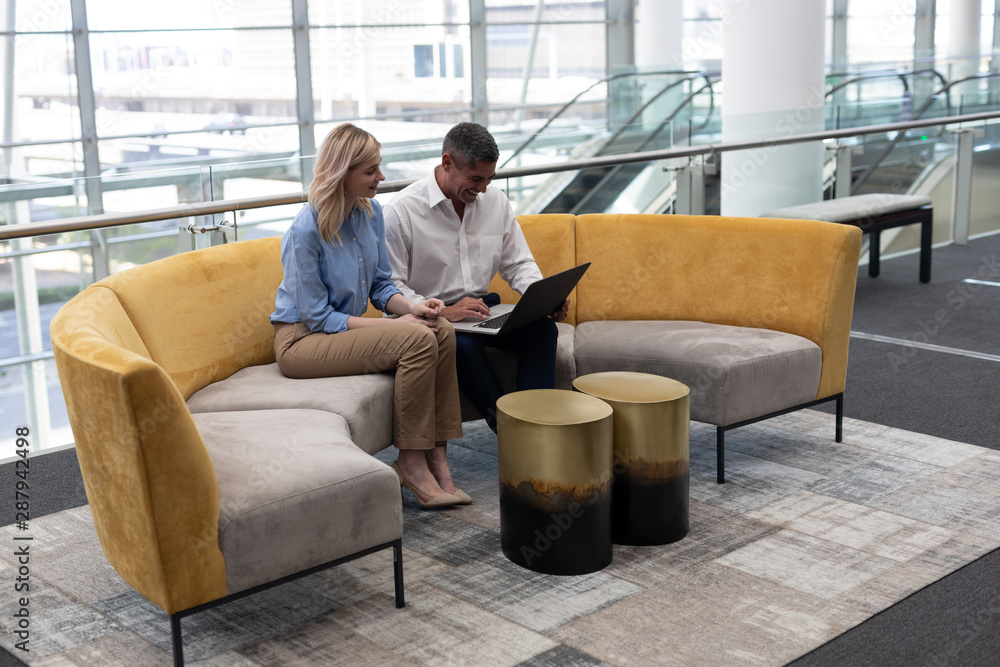 Fototapeta premium Caucasians business executives using laptop on sofa