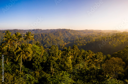 Aerial view over tropical rainforest during a dramatic sunrise, Bali, Indonesia
