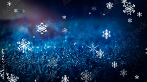 Winter frosty morning. Winter snow background, blue color, snowflakes, sunlight, macro. Frozen grass under the snow, snowflakes and sunlight, rays. snow scene © MiaStendal