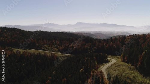 Wallpaper Mural Drone is flying above the road and the forest at autumn time 4K Torontodigital.ca
