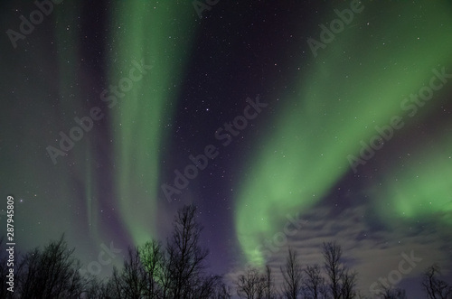 Northern lights  Aurora Borealis  near Troms    Norway