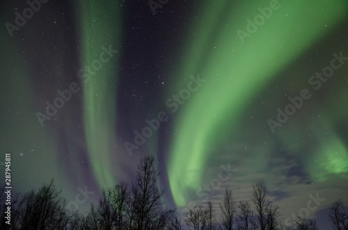 Northern lights  Aurora Borealis  near Troms    Norway