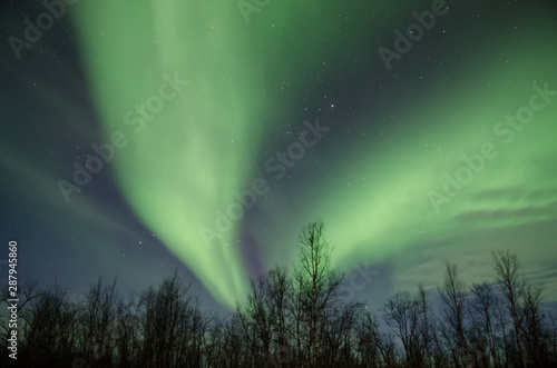Northern lights  Aurora Borealis  near Troms    Norway