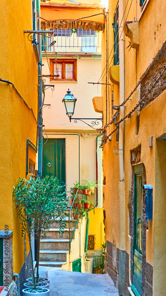 Obraz premium Picturesque street in Vernazza town