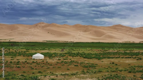 Aerial view on camel near lonely yurt and sand dunes in Gobi Desert, Mongolia, 4k photo