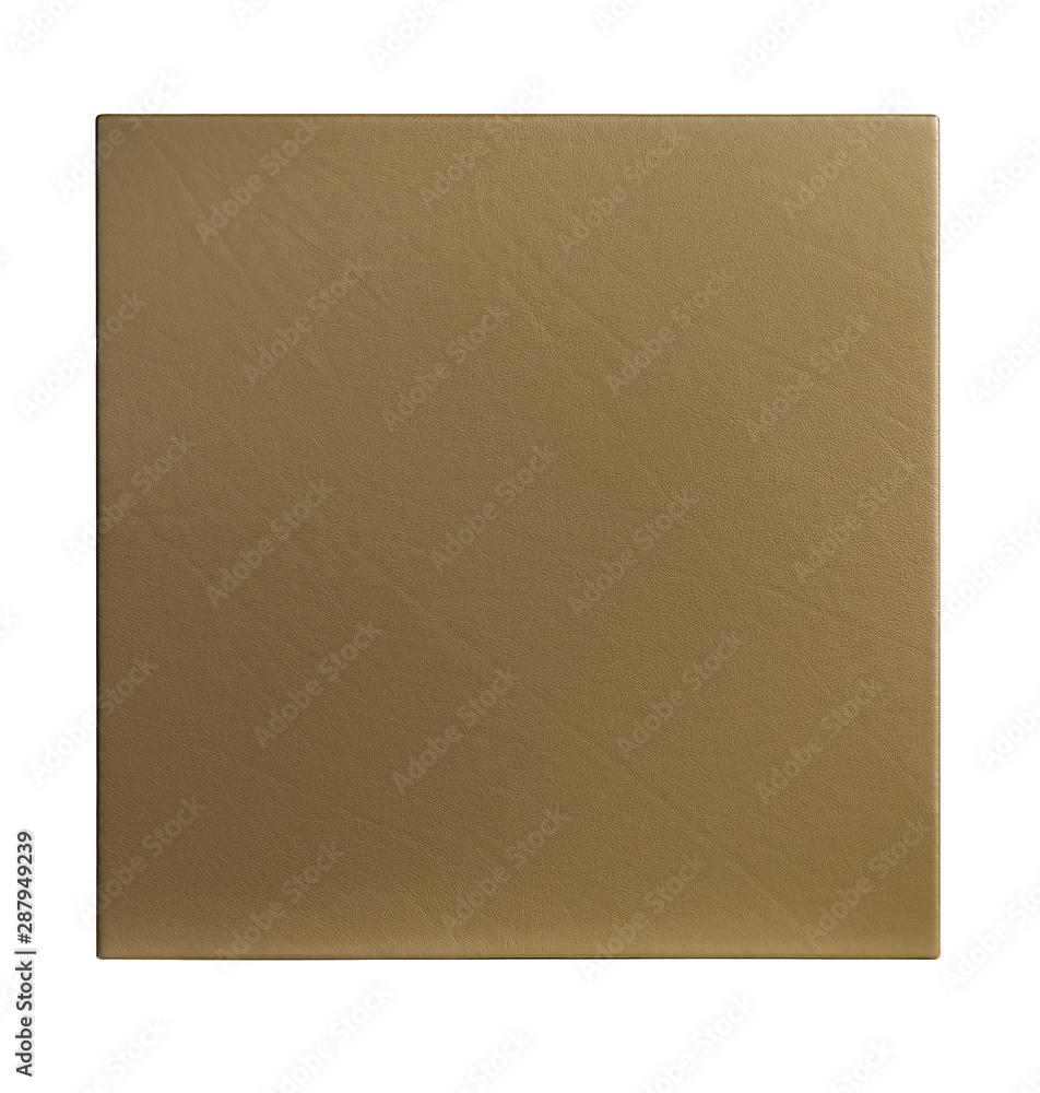 Fototapeta premium Texture pelle