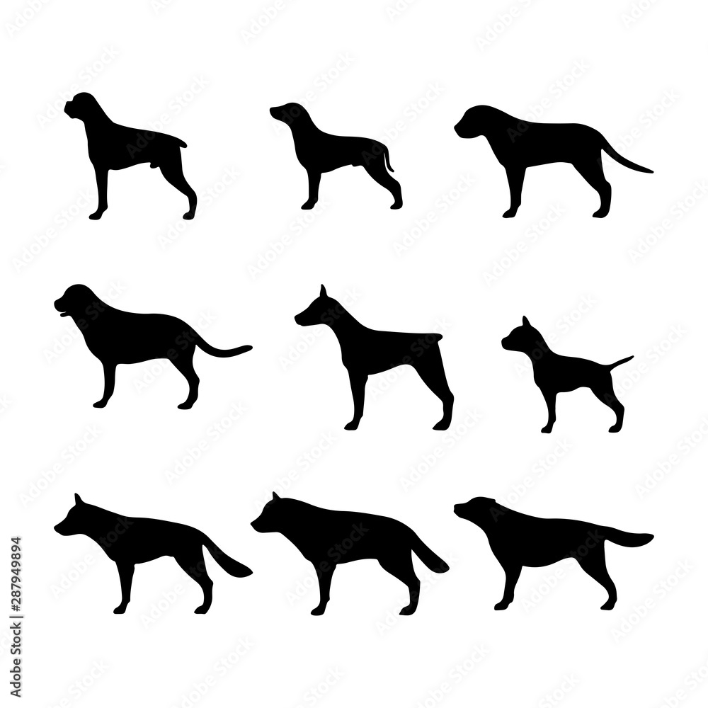 black silhouettes of dog breeds vector