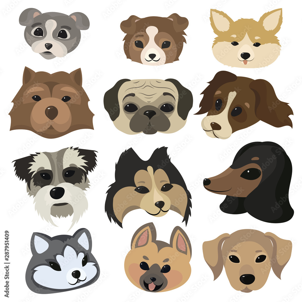 Set of cartoon dog faces. Collection of portraits of dog breeds. Vector  illustration of cute dog faces. Drawing for children. Stock Vector | Adobe  Stock