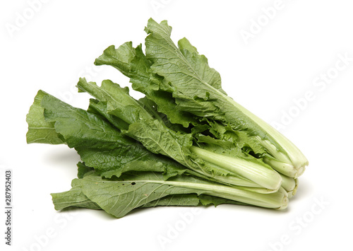 Small Chinese cabbage on white background 