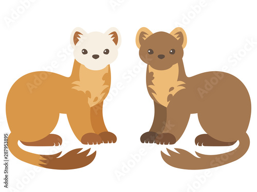 マツテンのイラスト（夏毛・冬毛）