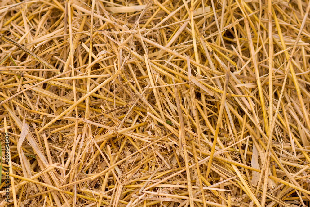 Texture of straw