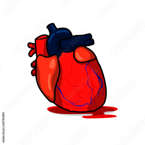 Ilustración de corazón en vectores derramando sangre