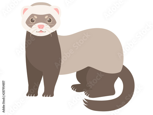 フェレットのイラスト Stock Vector Adobe Stock フェレットのイラスト Stock Vector Adobe Stock