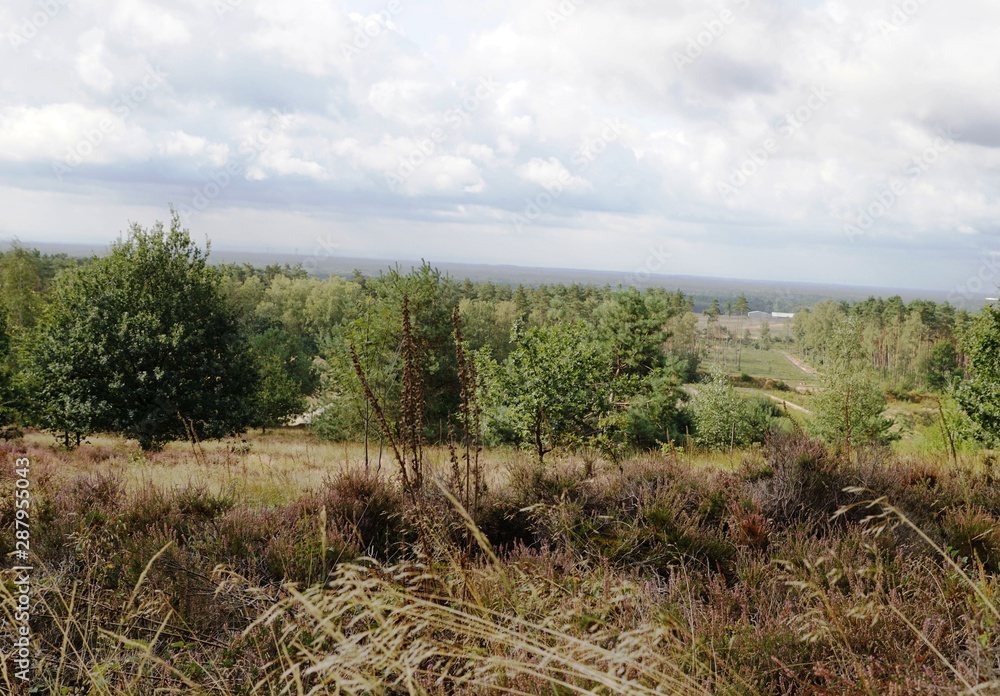 Obraz premium Bielefeld,Senne