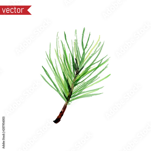 Pine Branches with Green Needles Stock Vector - Illustration of template,  decoration: 141359135