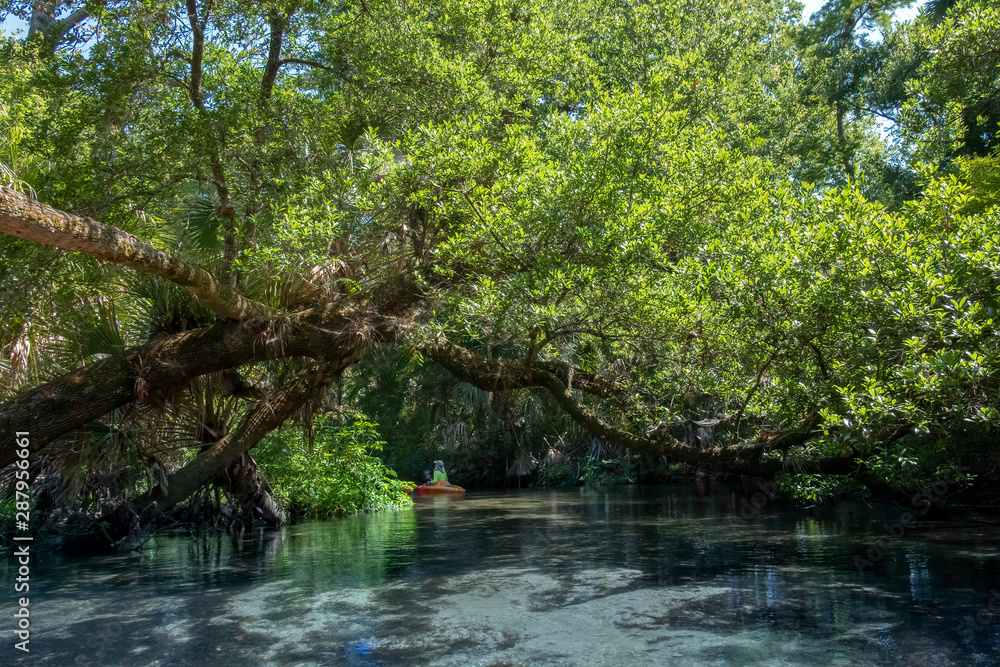 Kayaking on Juniper Springs Creek, Florida Kayaking on Juniper Springs Creek, Florida