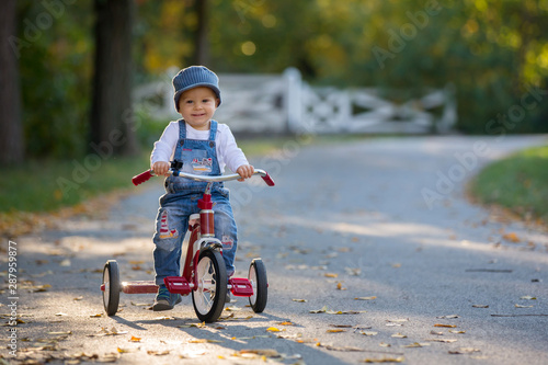 Fototapeta Naklejka Na Ścianę i Meble -  Sweet toddler boy, riding tricycle in the park on sunset, autumn time