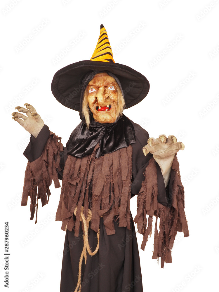 Terrible witch isolated on a white background. Halloween concept