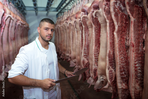 Industrial food worker handling fresh raw meat in slaughterhouse and preparing meat for the market. Butcher in white uniform holding pair of sharp knives while pig carcass hanging in the background.