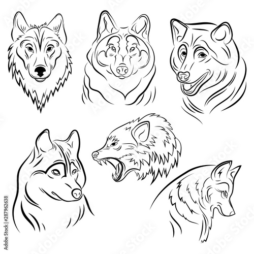Set of portraits of wolves. Collection of wolf heads. Black and white illustration of a wild animal. Linear art of a predatory animal. Tattoo.