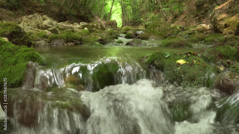 Spring rill flow into canyon. Green forest and clean water in river. Nature composition. Spring rill flow into canyon. Green forest and clean water in river. Nature composition.