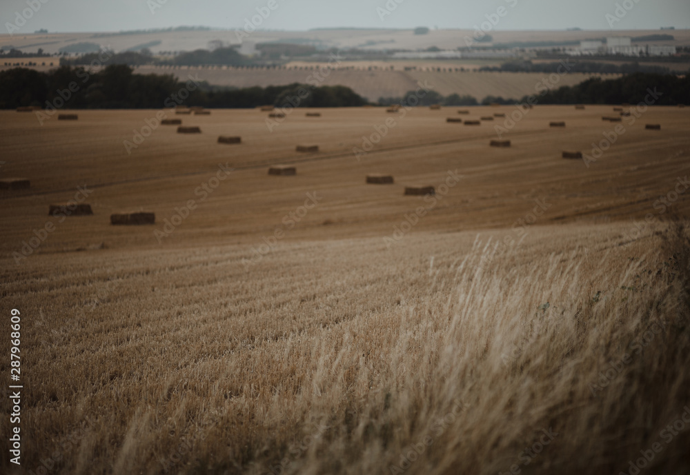Obraz premium Felder und Hügel