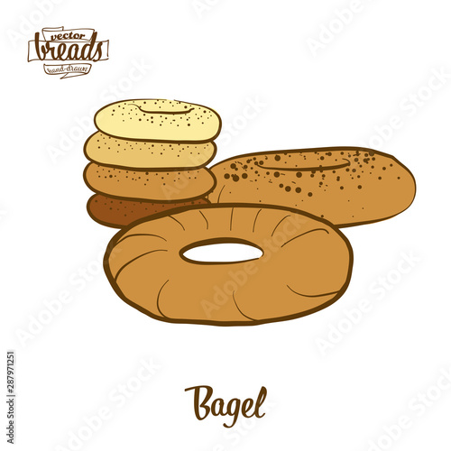Colored drawing of Bagel bread