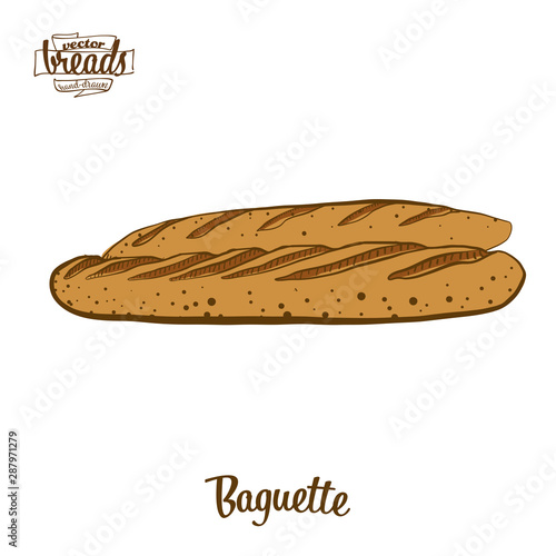 Colored drawing of Baguette bread