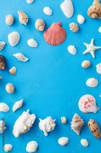 sealife and summer concept - frame of different sea shells on blue background