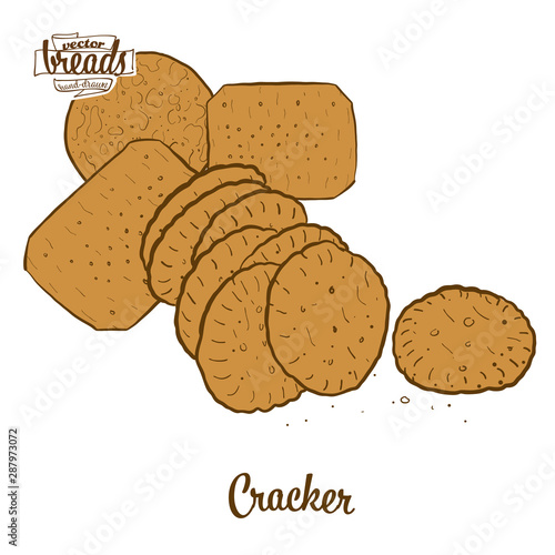 Colored drawing of Cracker bread