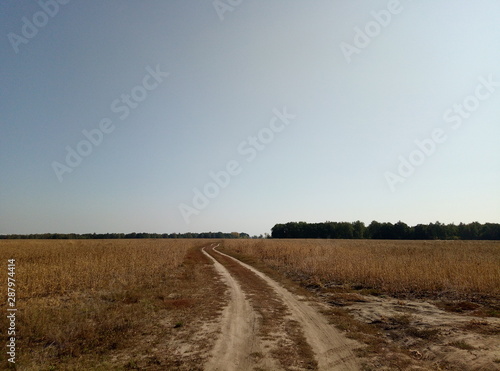 road in the field