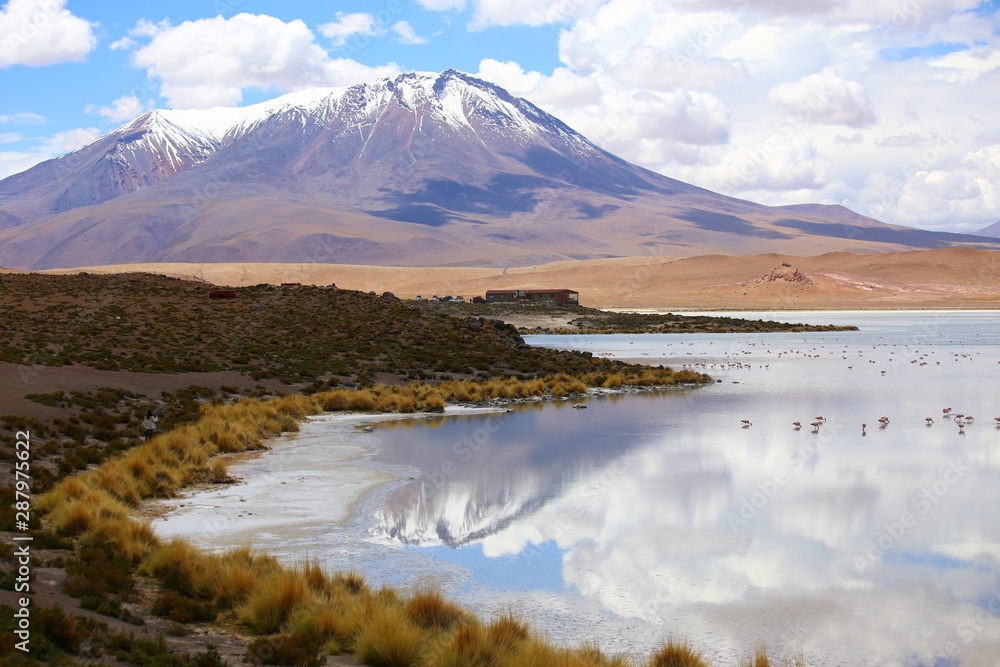 White lagoon (laguna Blanca) in the Bolivia desert. Lake with white waters surrounded by green vegetation. Mountains with snow in the peak.