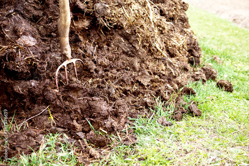 Wallpaper Mural Pitchfork in manure. Agricultural works on a kitchen garden Torontodigital.ca
