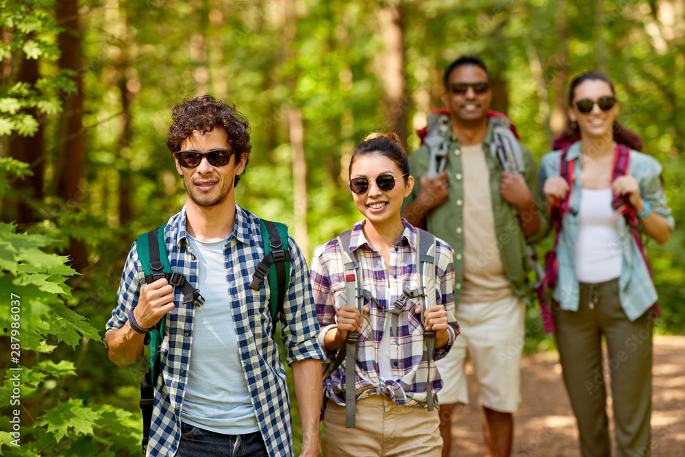 travel, tourism, hike and people concept - group of friends walking with backpacks in forest travel, tourism, hike and people concept - group of friends walking with backpacks in forest