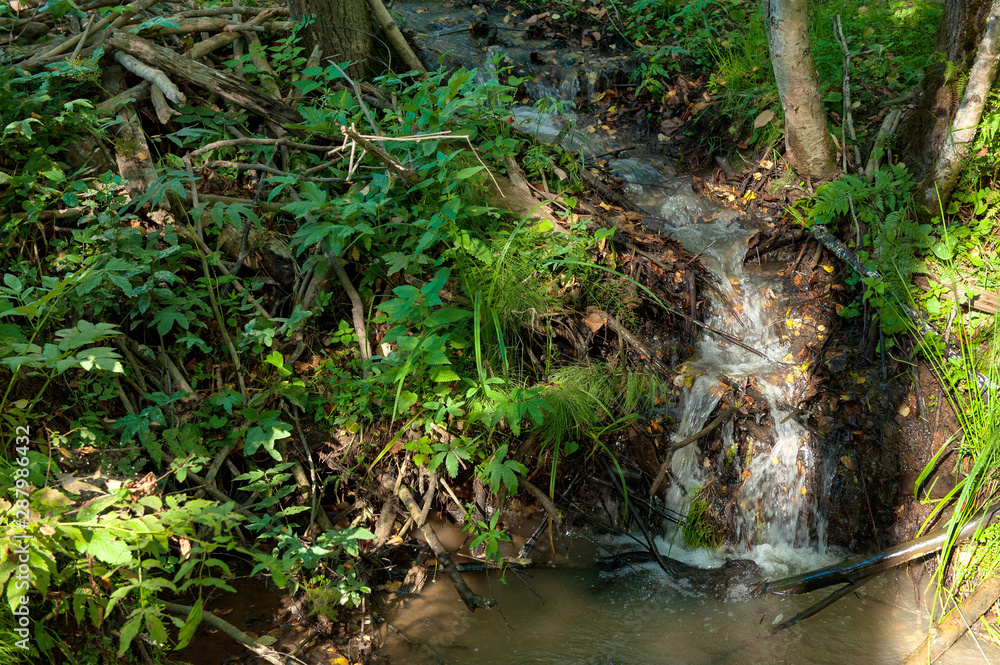 small stream in forest with waterfall over small rocks small stream in forest with waterfall over small rocks