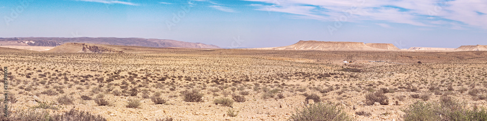 panorama of the ein avdat area of the negev highlands near sde boqer in israel showing the cliffs of nahal zin with a foreground of desert vegetation