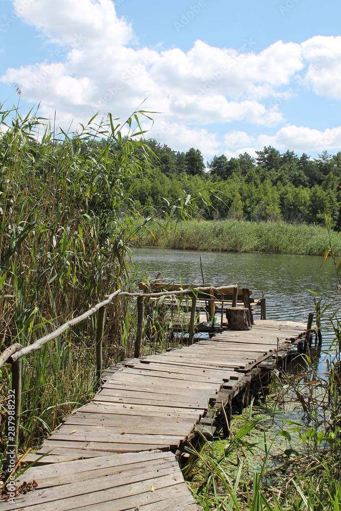 Fototapeta premium wooden bridge in forest