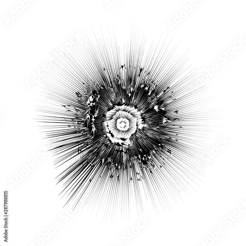 Abstract isolated dandelion. Mononchrome blowball sign.