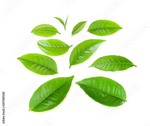green tea leaves isolated on white background