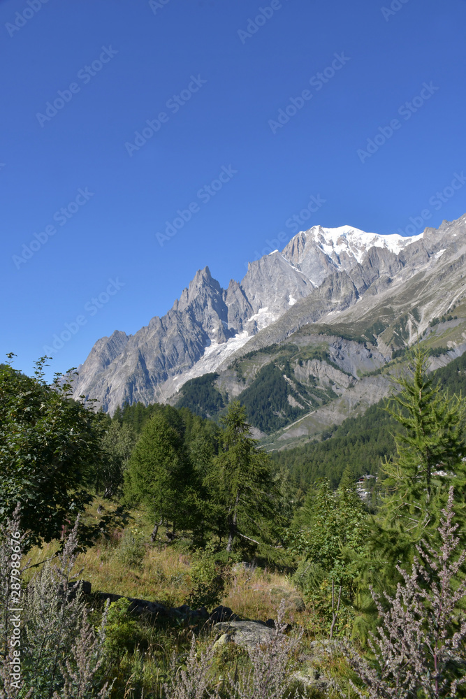 Il Monte Bianco visto dalla val Ferret.