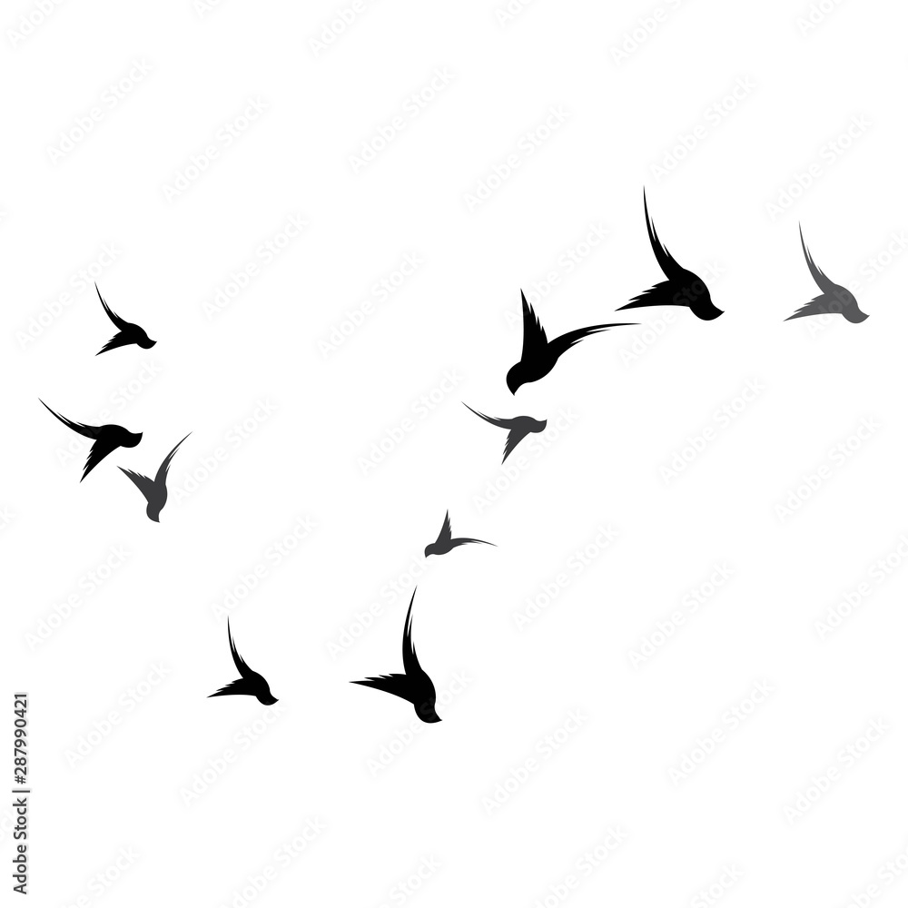 Fototapeta premium Bird Logo Template vector illustration