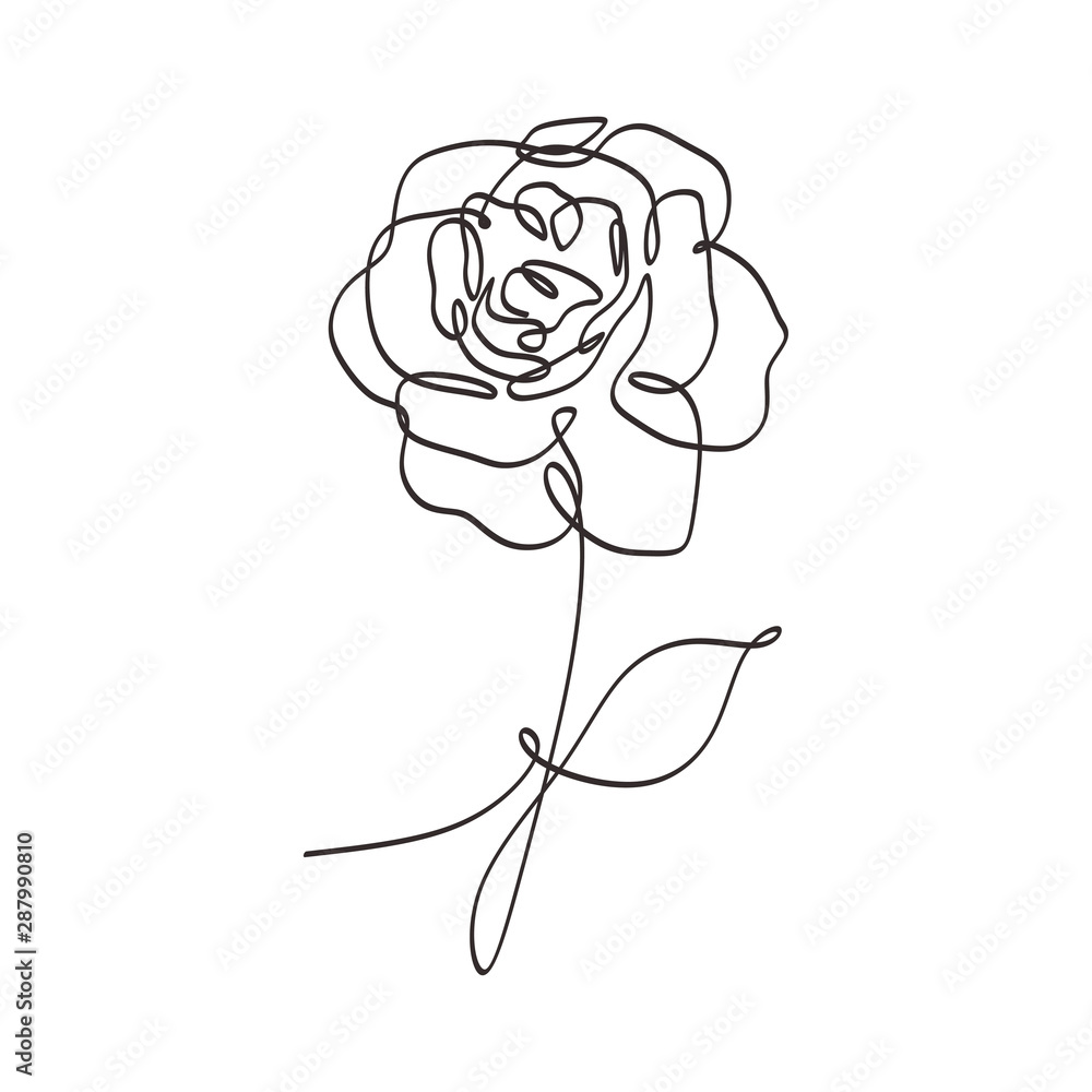 Flower continuous one line art drawing vector illustration. Beauty rose ...