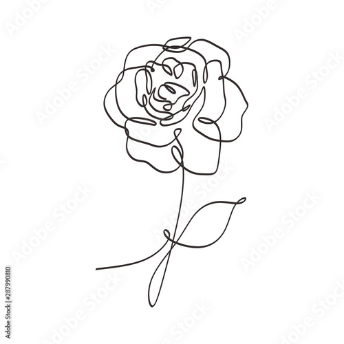 Flower continuous one line art drawing vector illustration. Beauty rose single sketch isolated on white background.