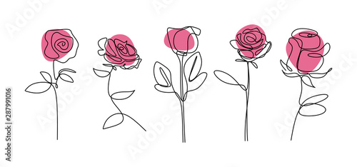 Rose flower continuous line drawing Minimalism floral botanical garden vector illustration. Single hand drawn set element collections.