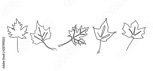 Continuous line drawing of maple leaves hand drawn set collections. Minimal design simplicity autumn theme.