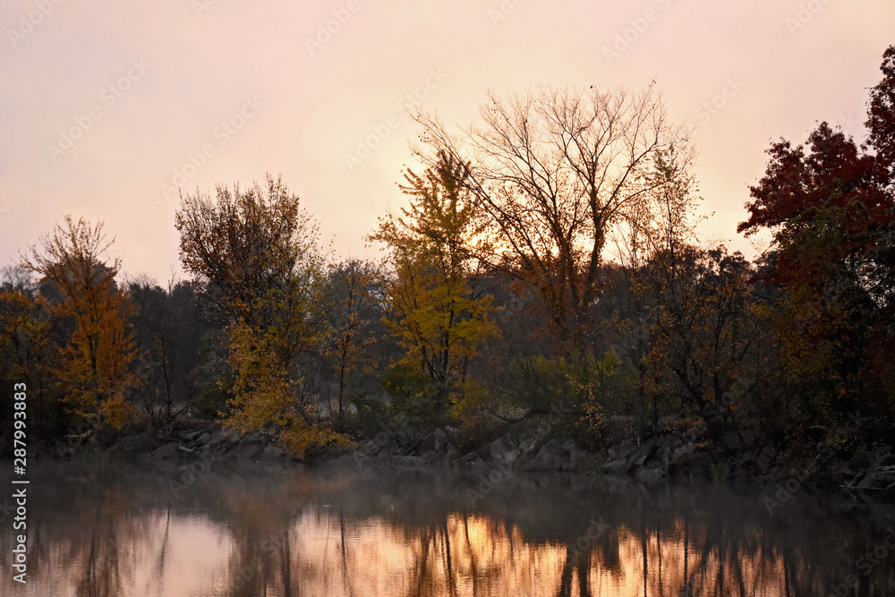 Obraz premium sunset in the forest